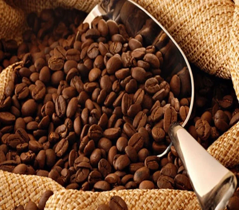 Manfaat Kopi Gayo untuk Kesehatan